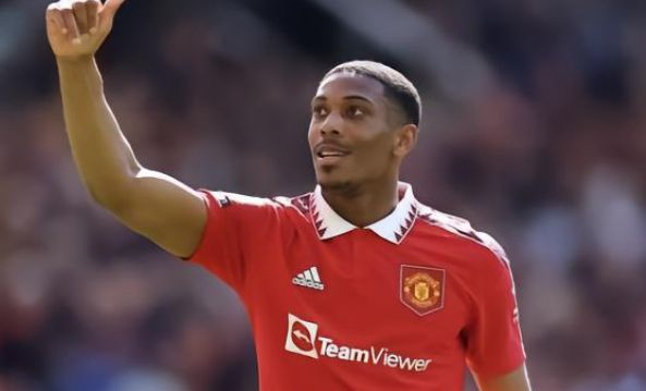 里德灵巧的 里德灵巧的